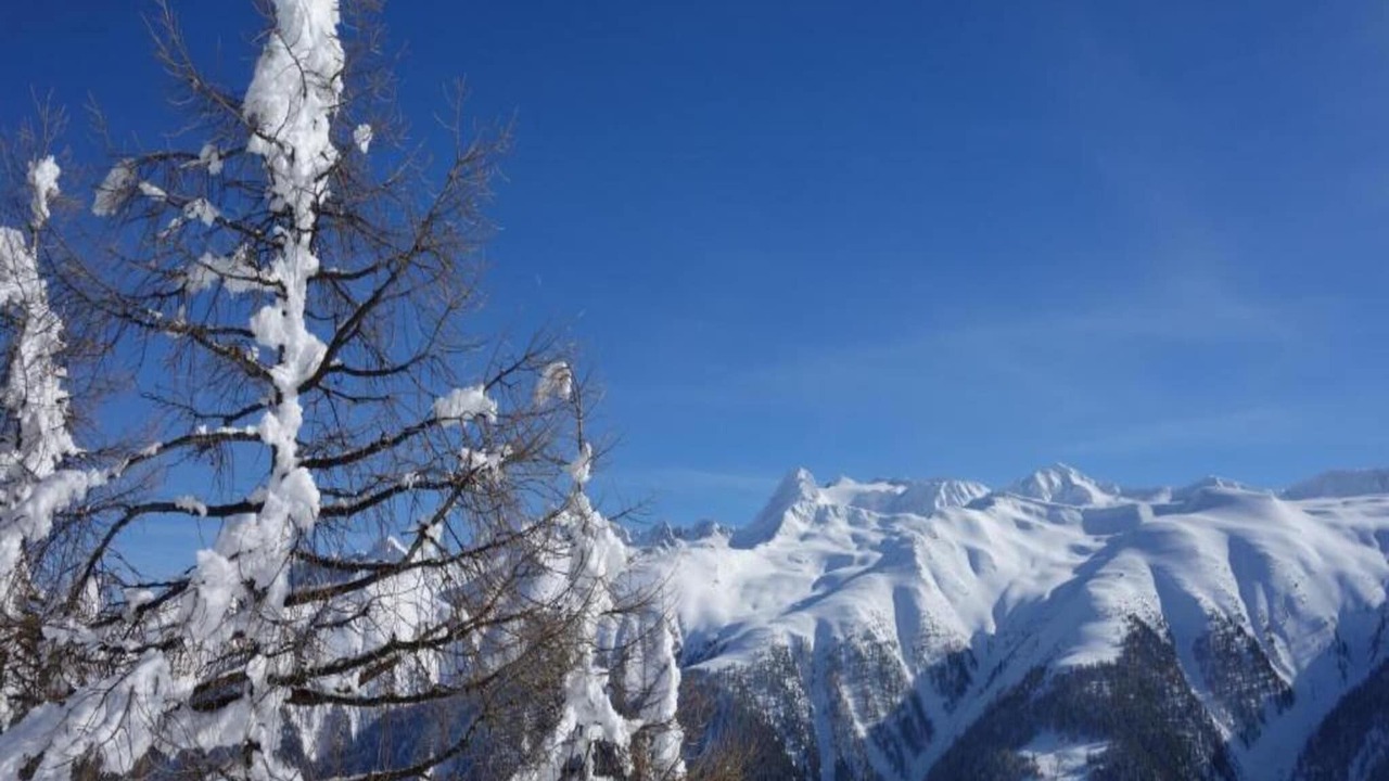 Photo of Others in Bellwald