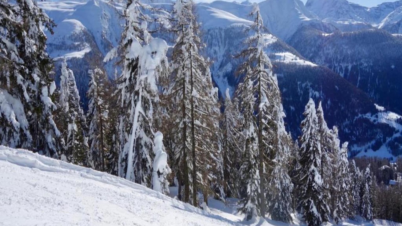 Photo of Others in Bellwald