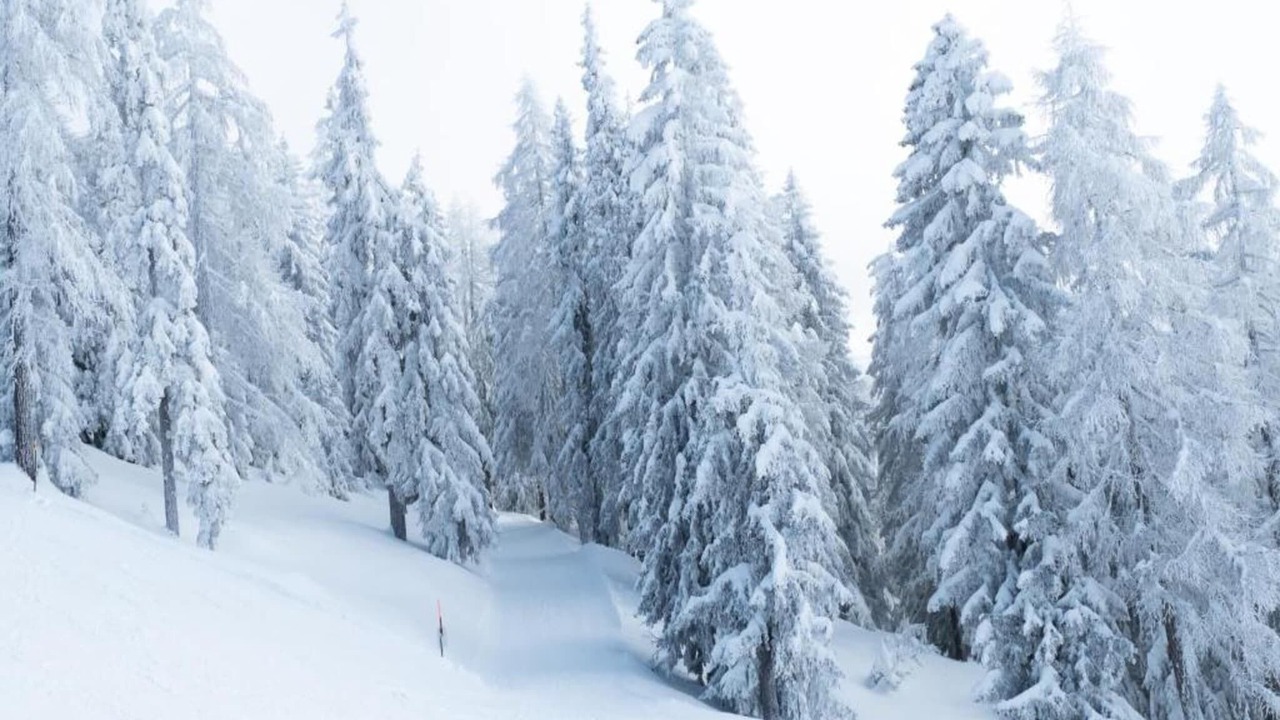 Photo of Others in Bellwald