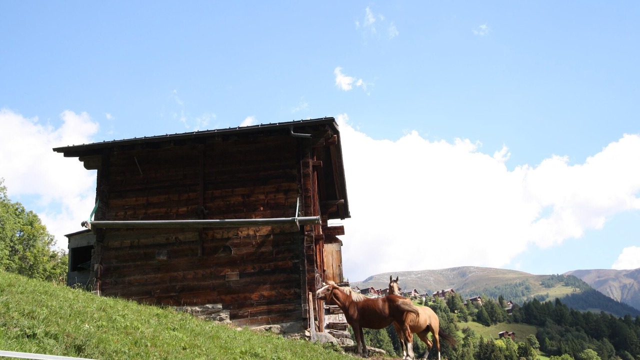 Photo of Others in Bellwald