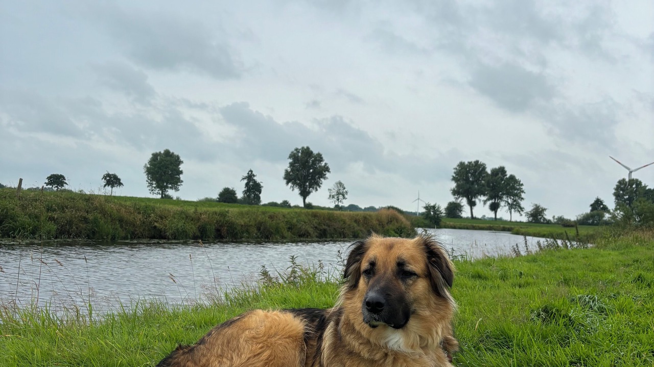 Photo of Others in Brookmerland