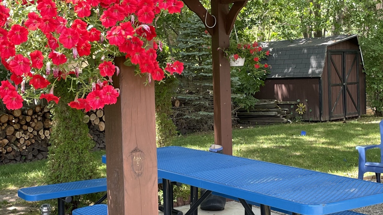 Photo of Outdoor in Newaygo