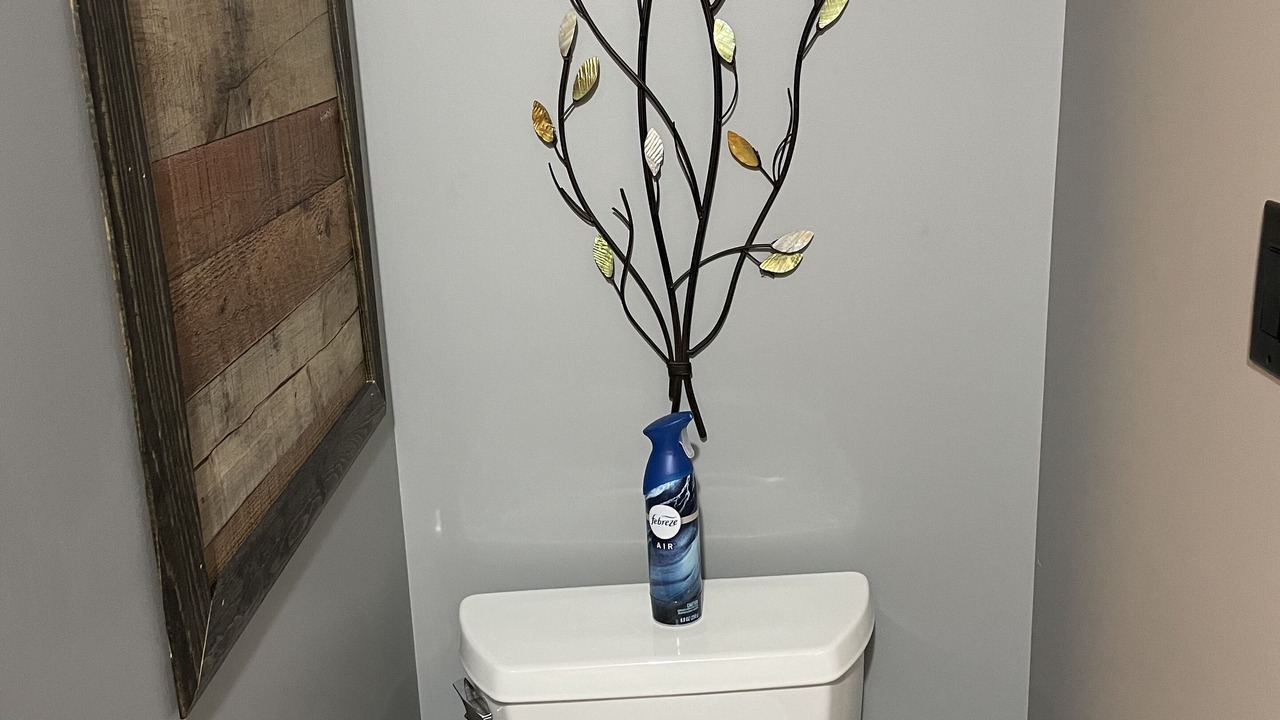 Photo of Bathroom in Newaygo