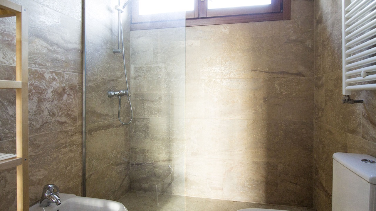 Photo of Bathroom in Canillas