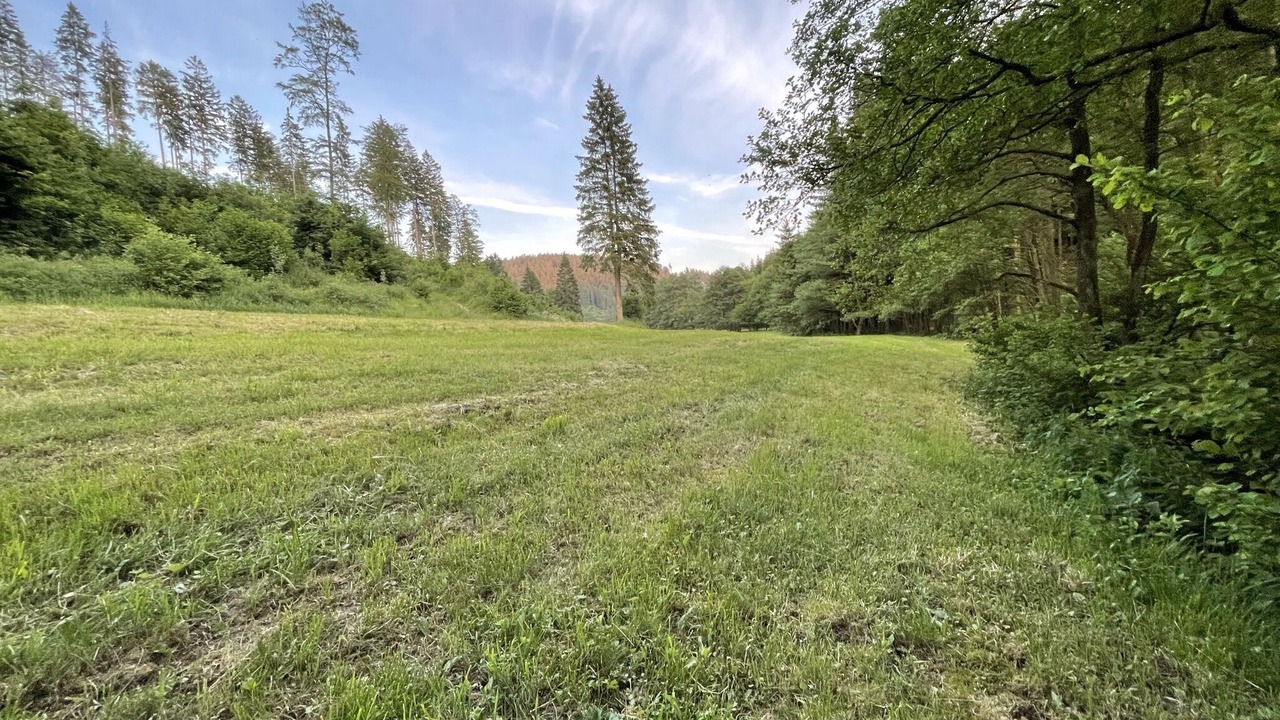 Photo of Outdoor in Schwalefeld