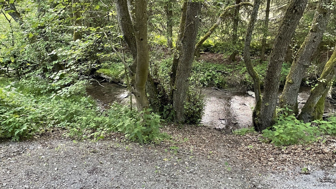Photo of Outdoor in Schwalefeld
