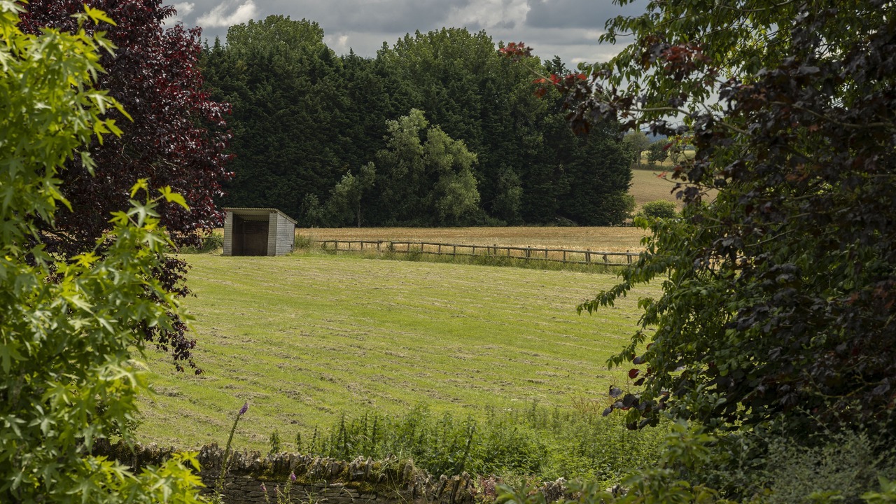 Photo of Others in Chedworth