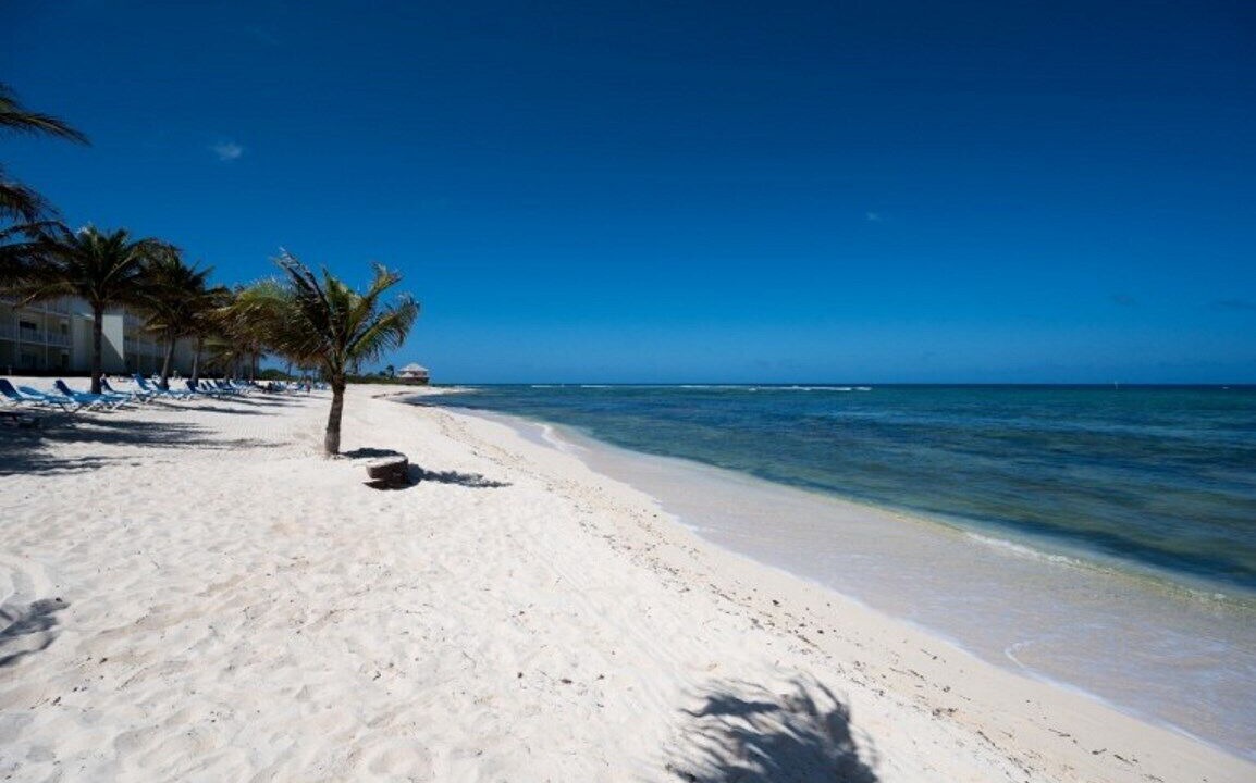Photo of Others in Colliers Bay