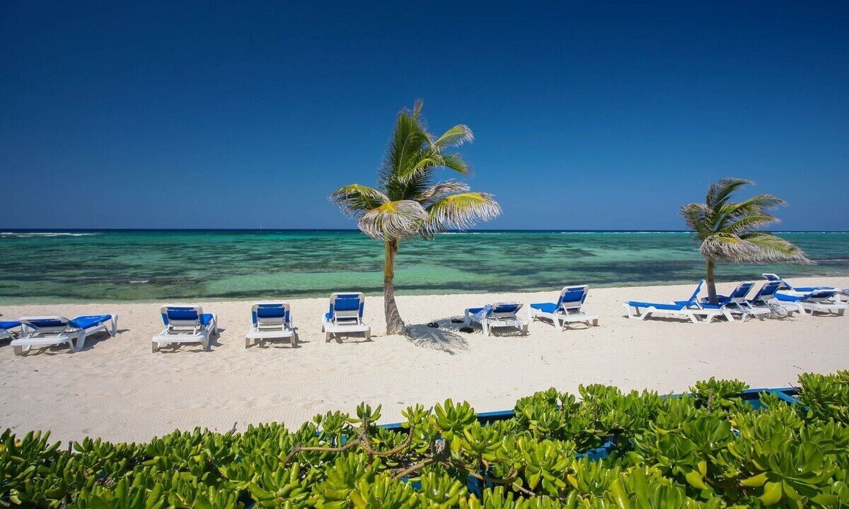 Photo of Others in Colliers Bay