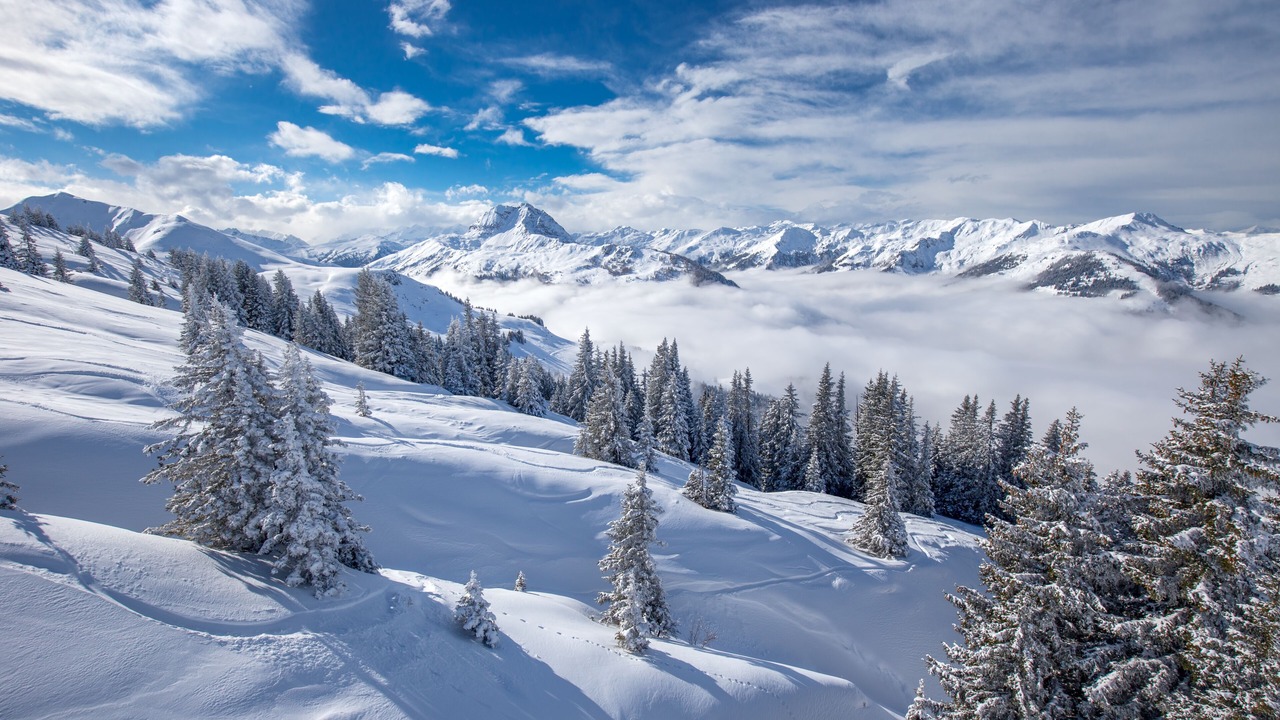 Photo of Others in Kitzbuehel