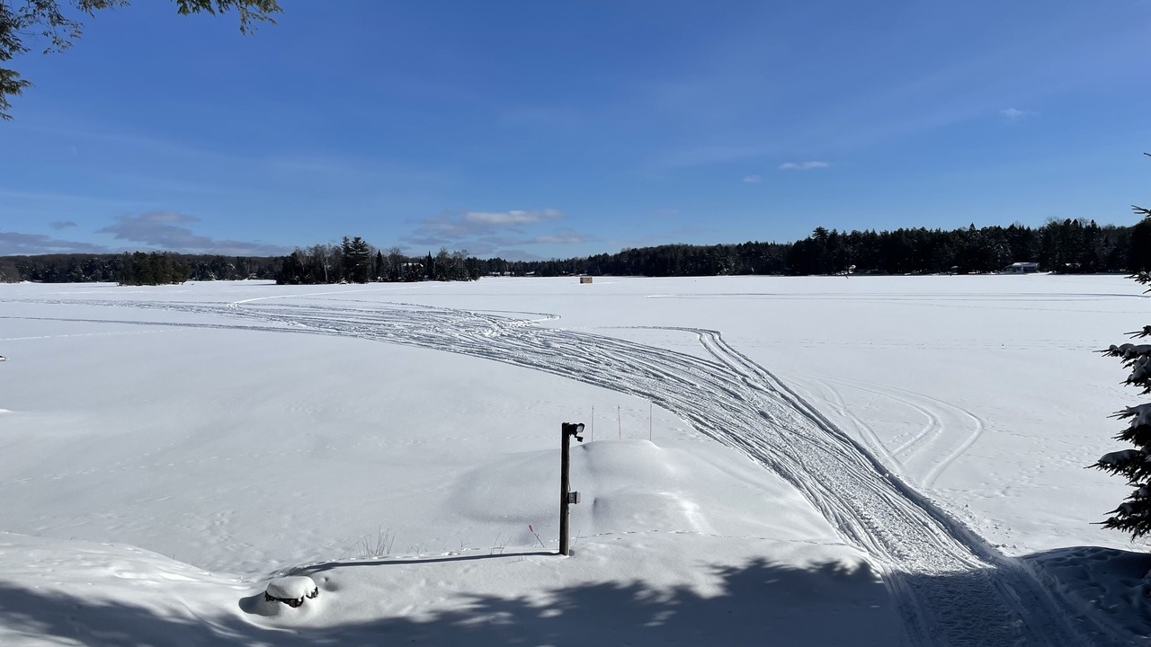 Photo of Others in Land O Lakes