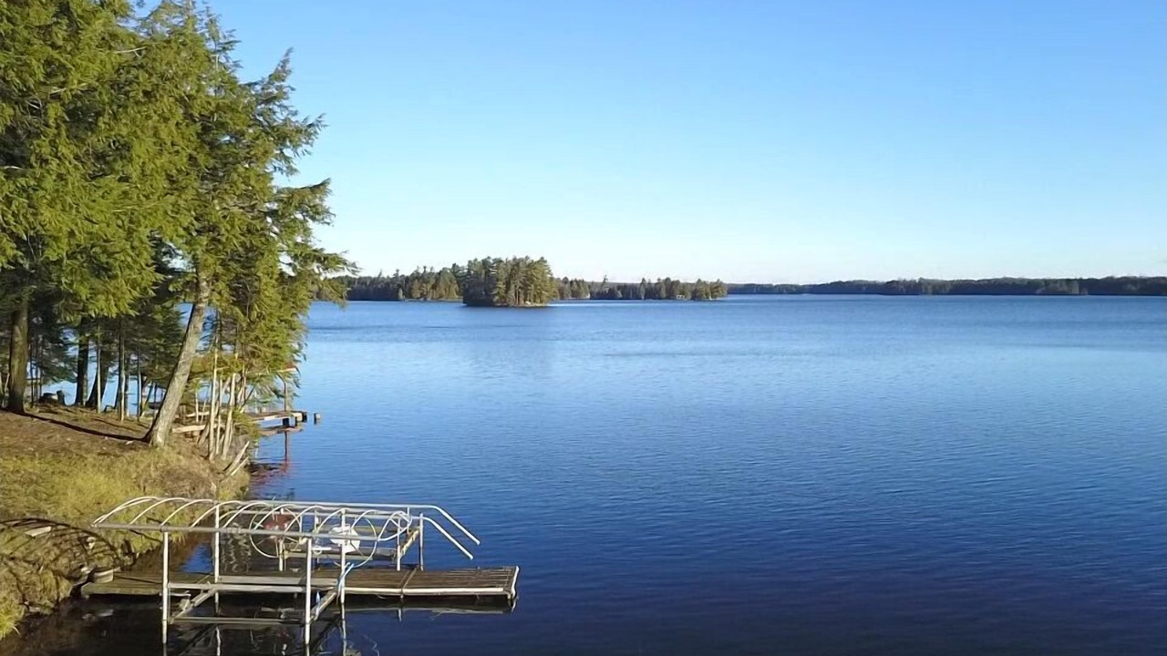 Photo of Others in Land O Lakes