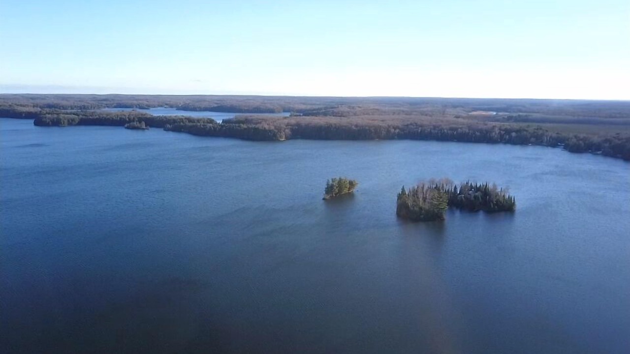 Photo of Others in Land O Lakes