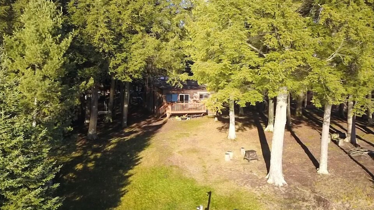Photo of Outdoor in Land O Lakes