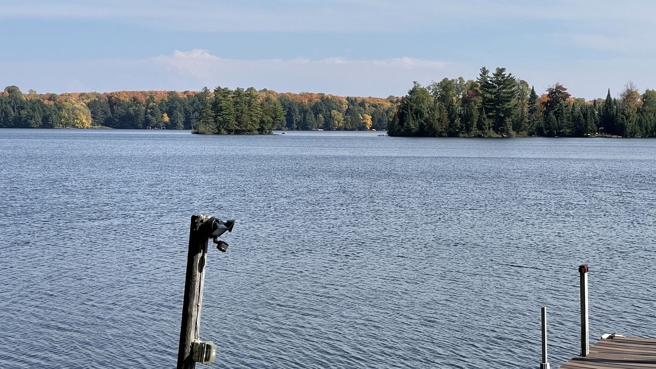 Photo of Outdoor in Land O Lakes