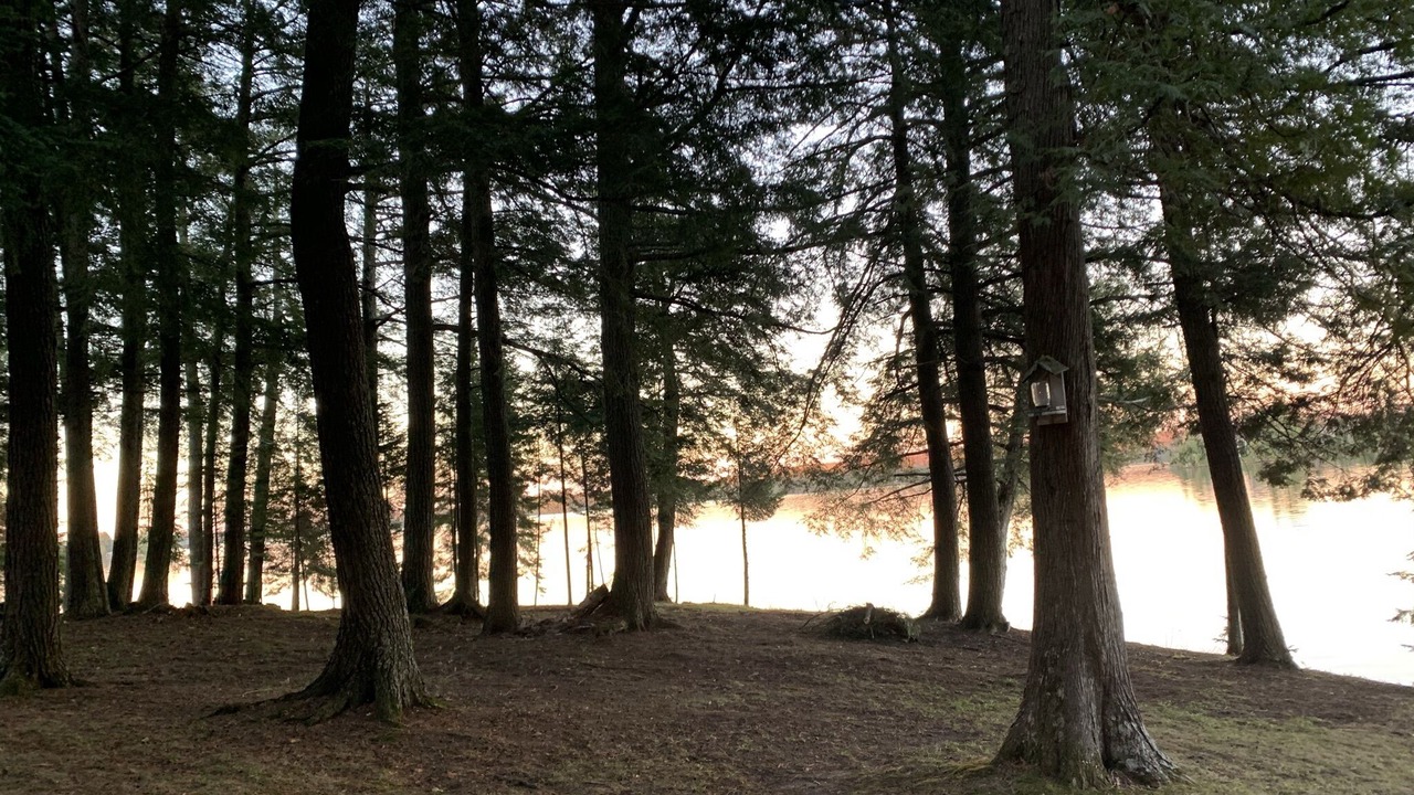 Photo of Outdoor in Land O Lakes