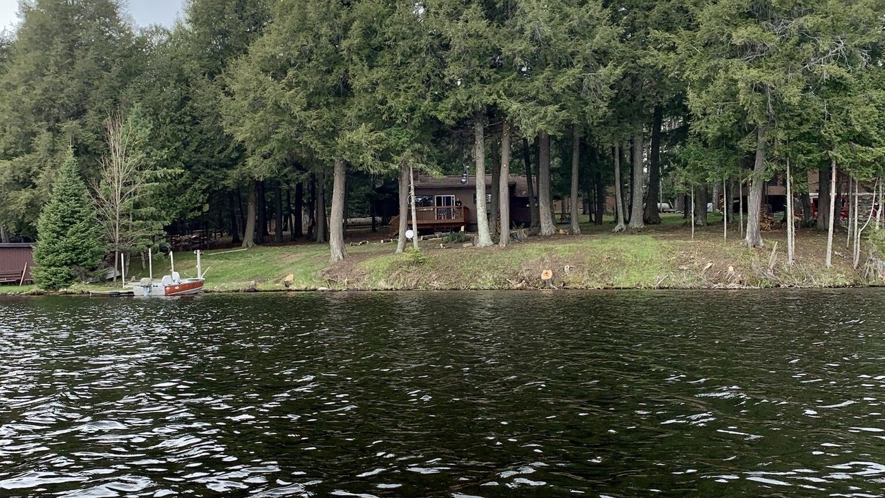Photo of Outdoor in Land O Lakes