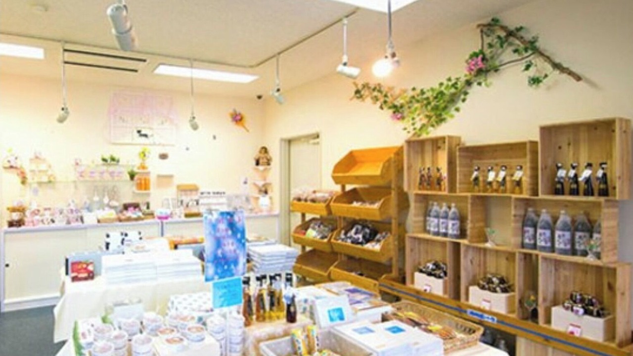 Photo of Others in Ashibetsu