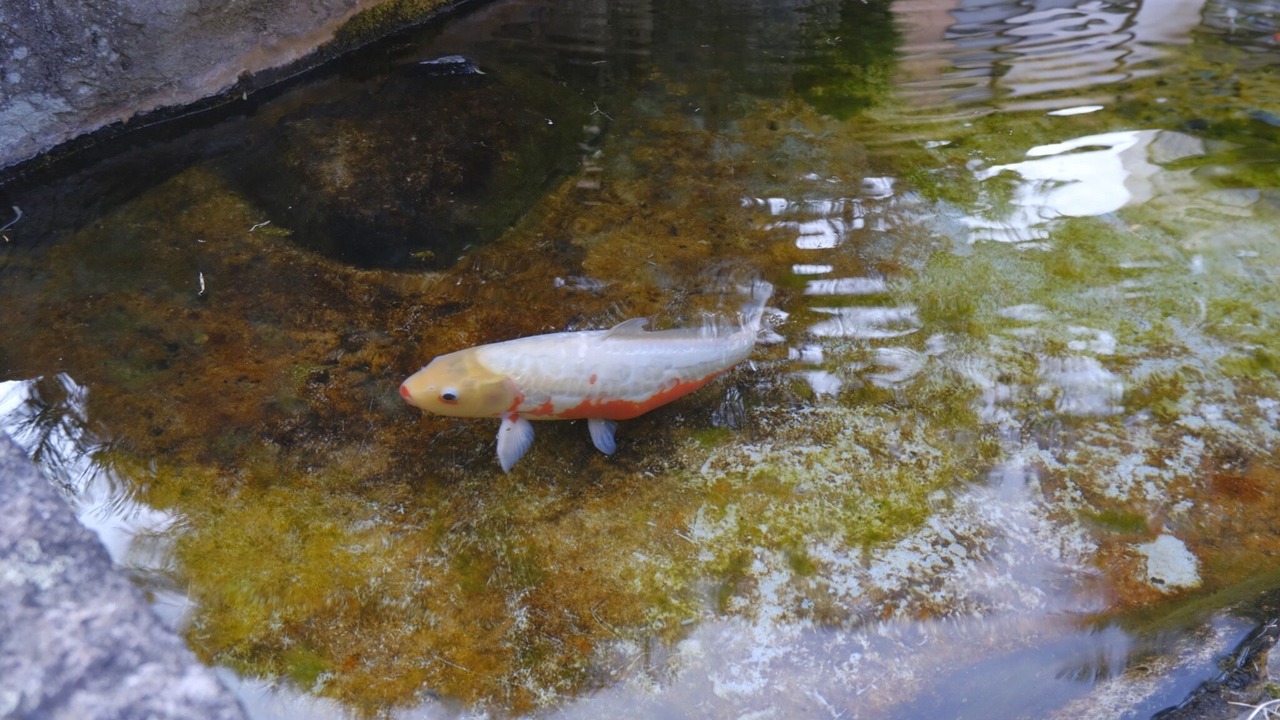 Photo of Outdoor in Nagano