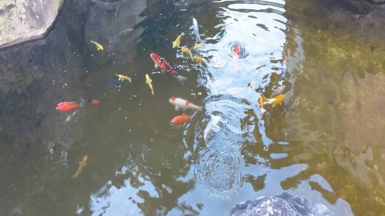 Photo of Others in Nagano