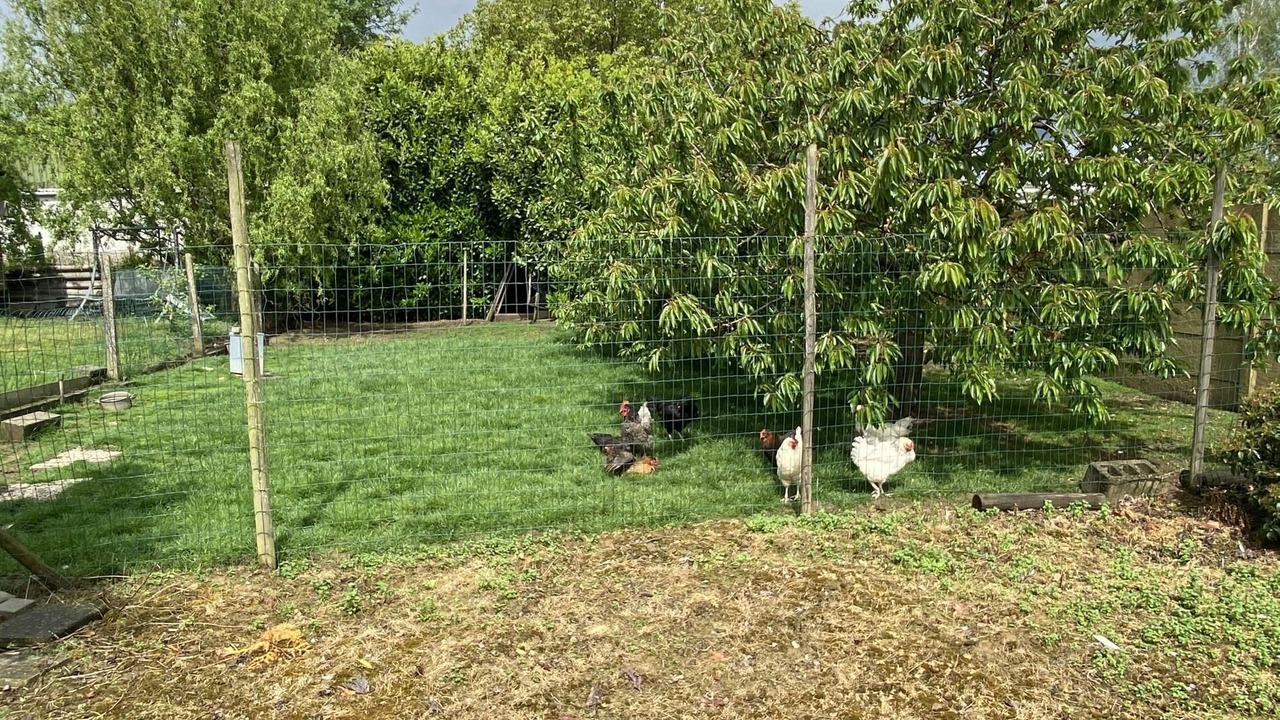 Photo of Outdoor in Heers