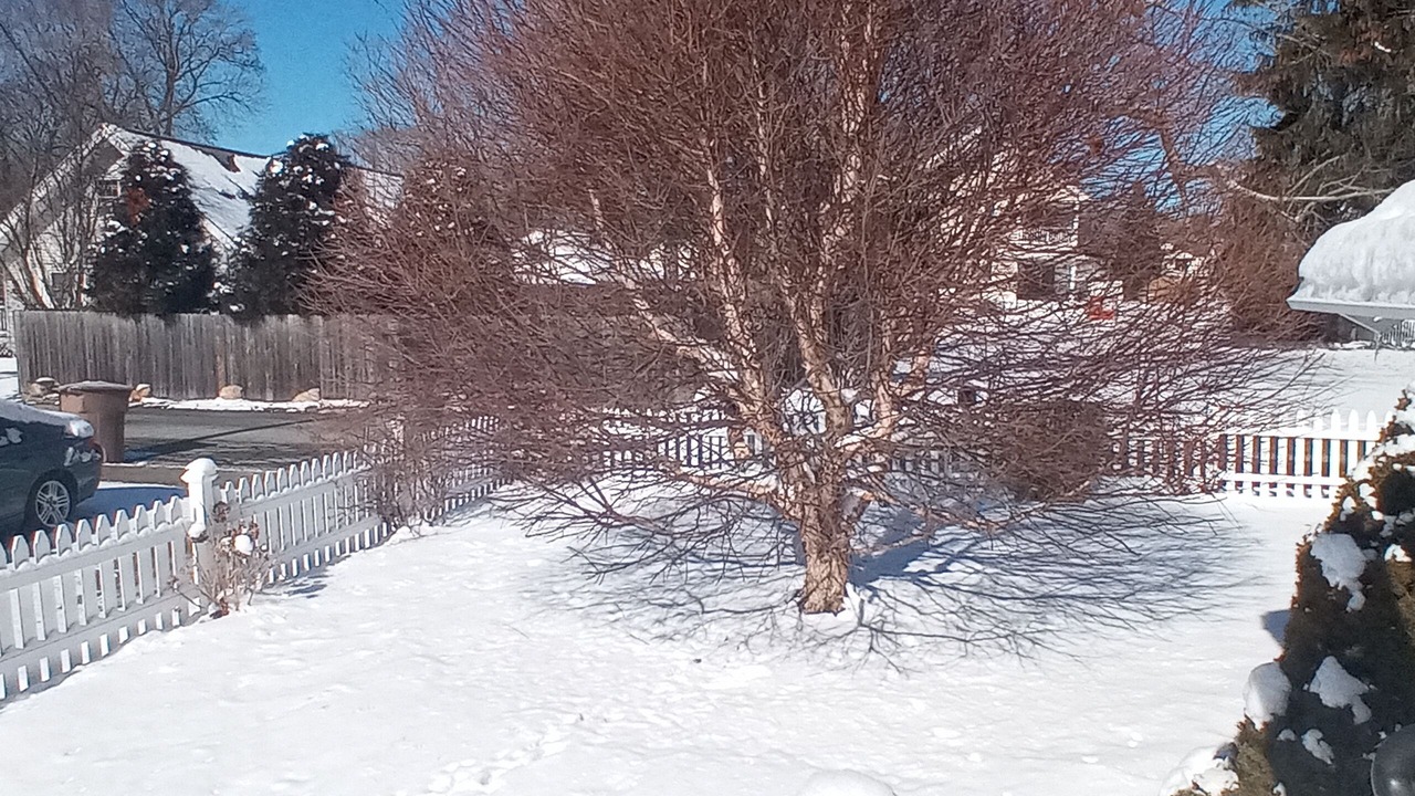 Photo of Outdoor in Niantic