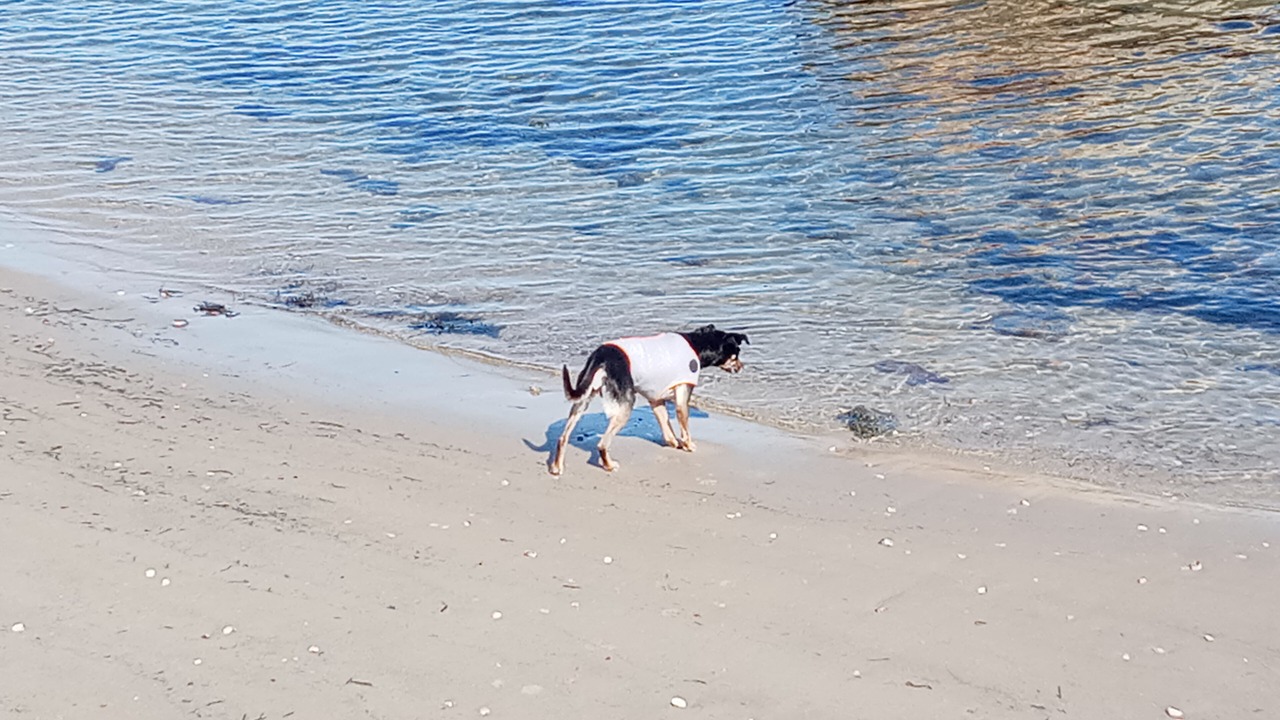 Photo of Others in Niantic