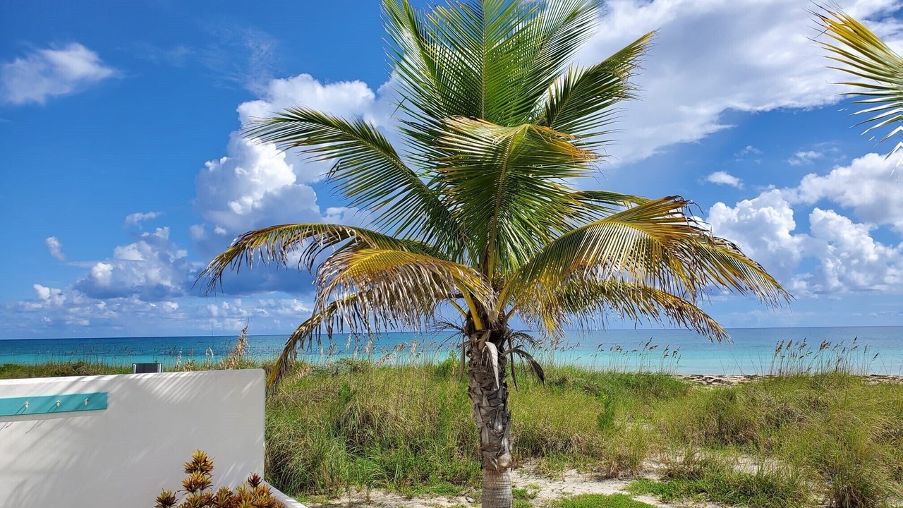 Photo of Others in Bahamas Terrace