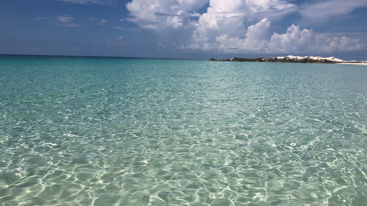 Photo of Others in Bahamas Terrace