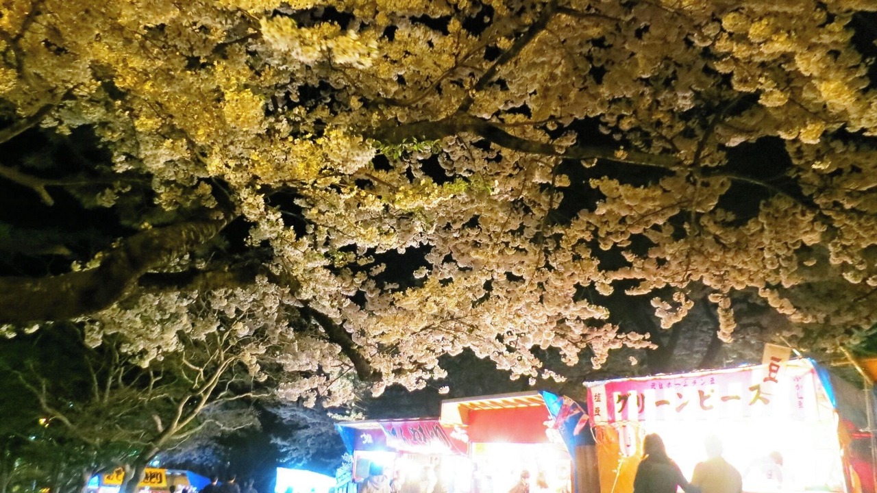 Photo of Outdoor in Hakodate