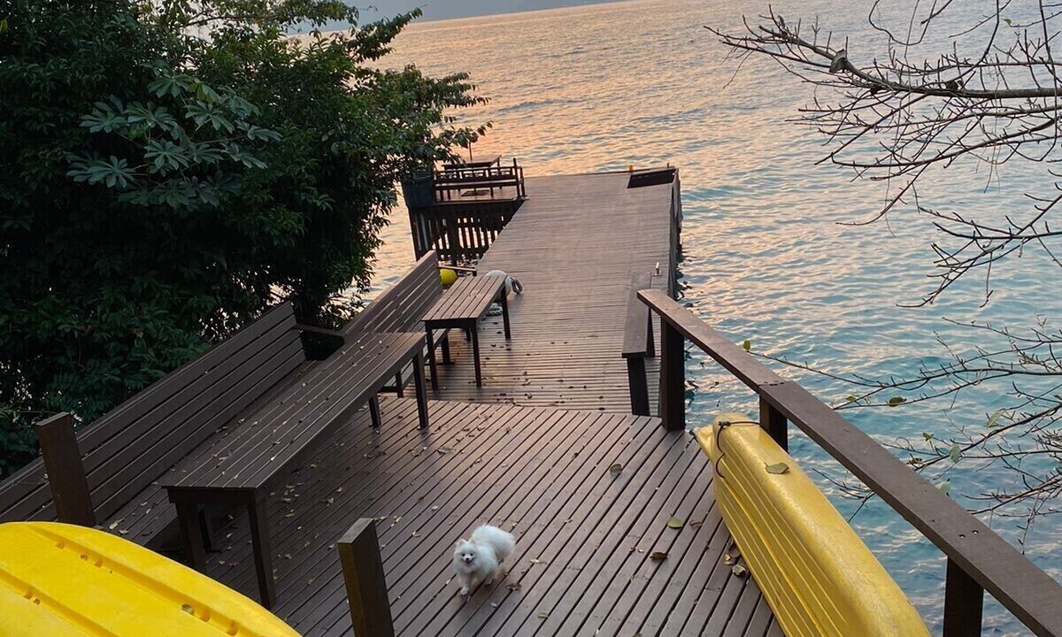 Photo of Outdoor in Biscaia
