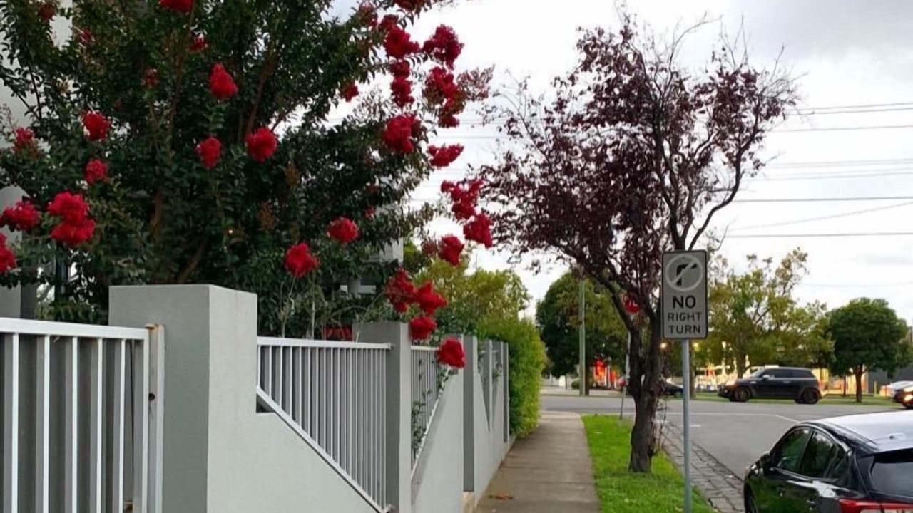 Photo of Others in Moonee Ponds