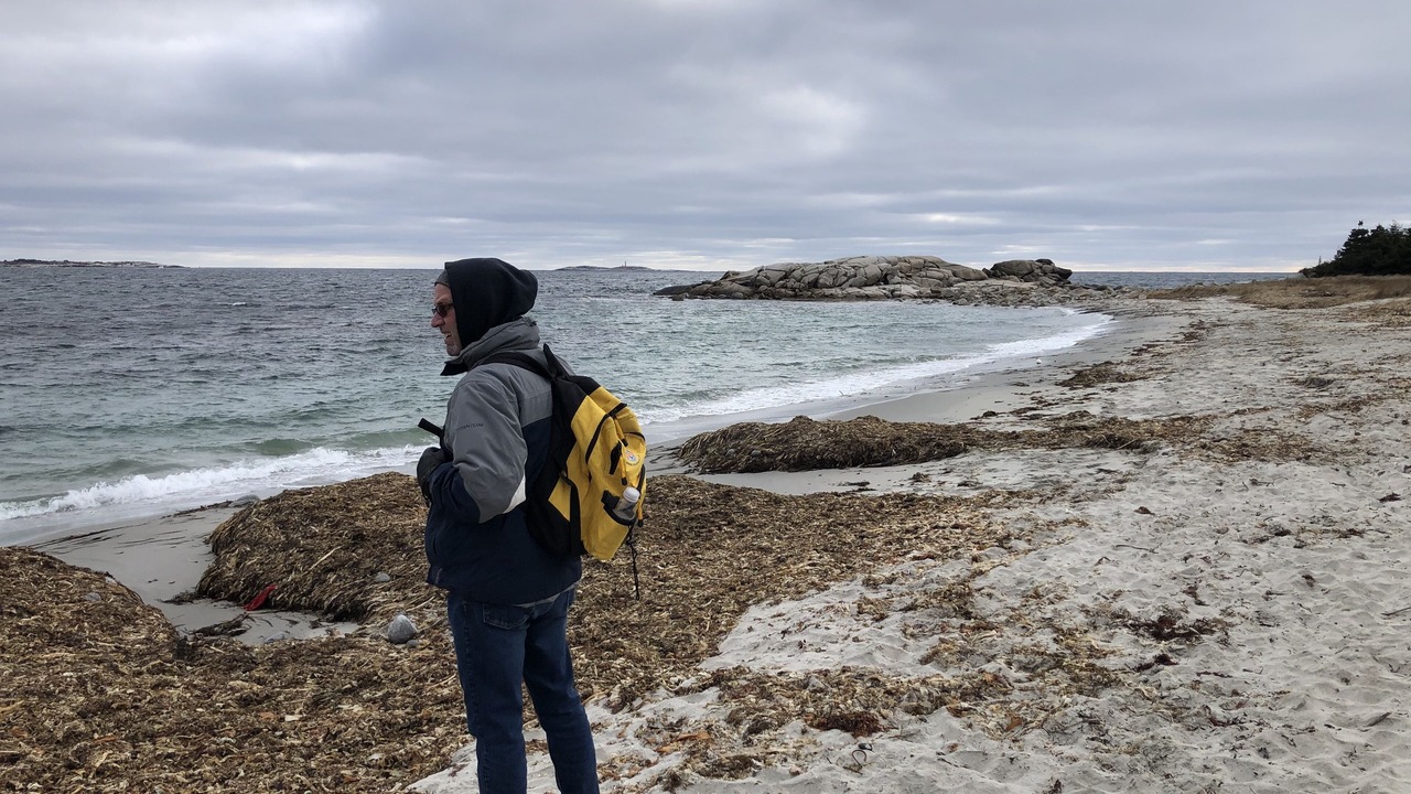 Photo of Others in Herring Cove