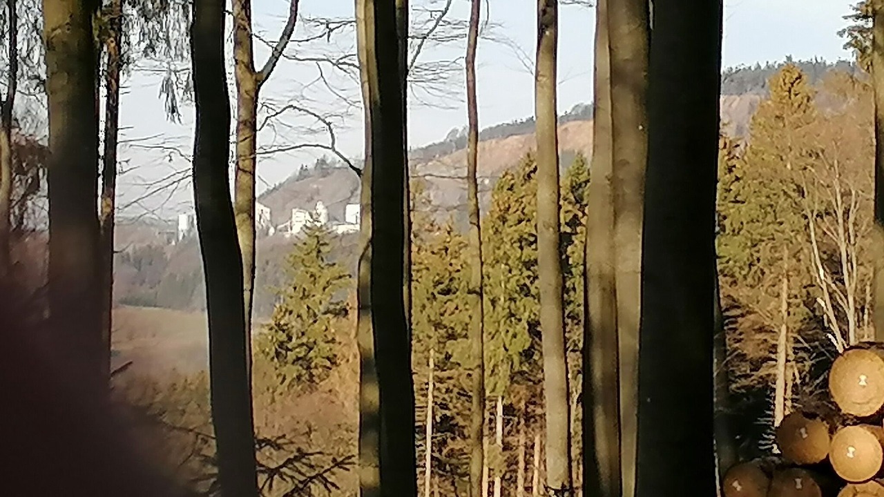 Photo of Others in Hildfeld