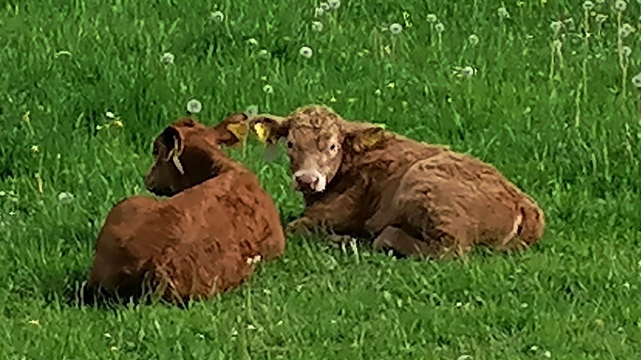 Photo of Outdoor in Hildfeld