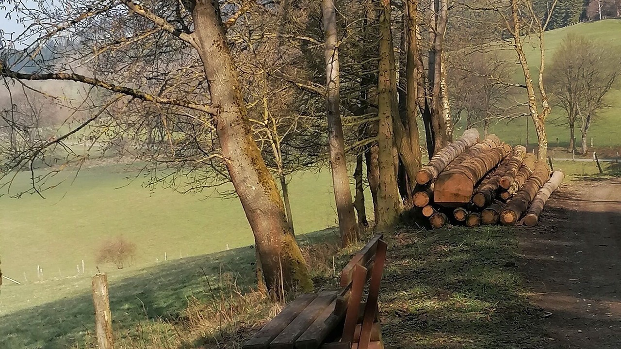 Photo of Outdoor in Hildfeld