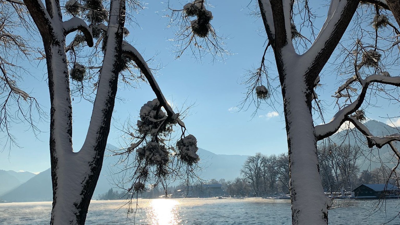 Photo of Others in Bad Wiessee