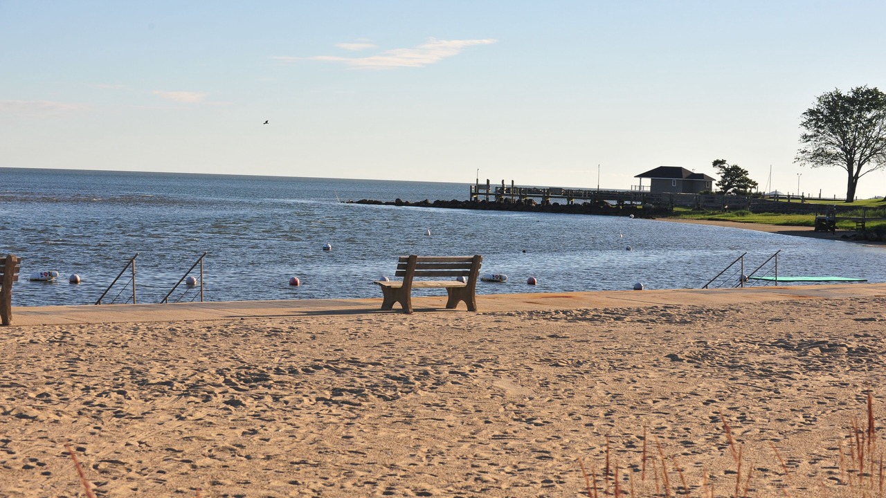 Photo of Others in Saybrook Manor
