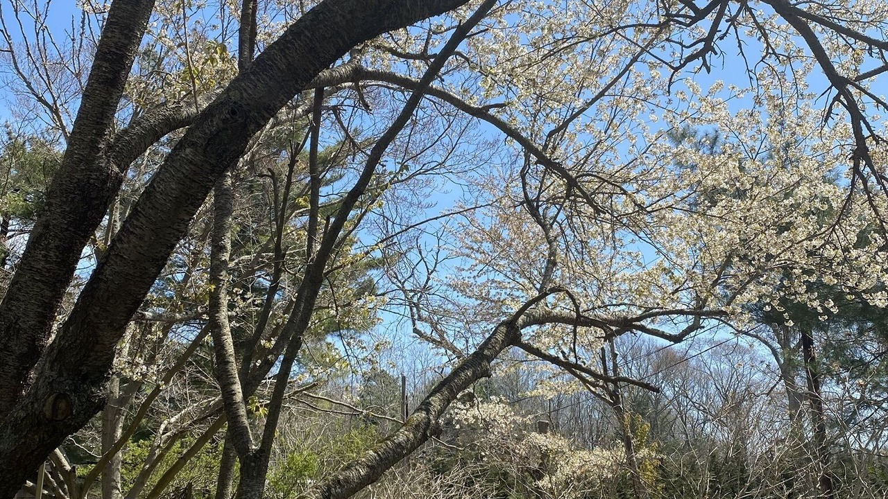 Photo of Outdoor in Amagansett North