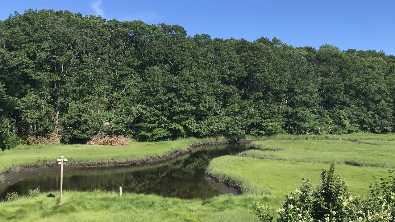 Photo of Others in Niantic