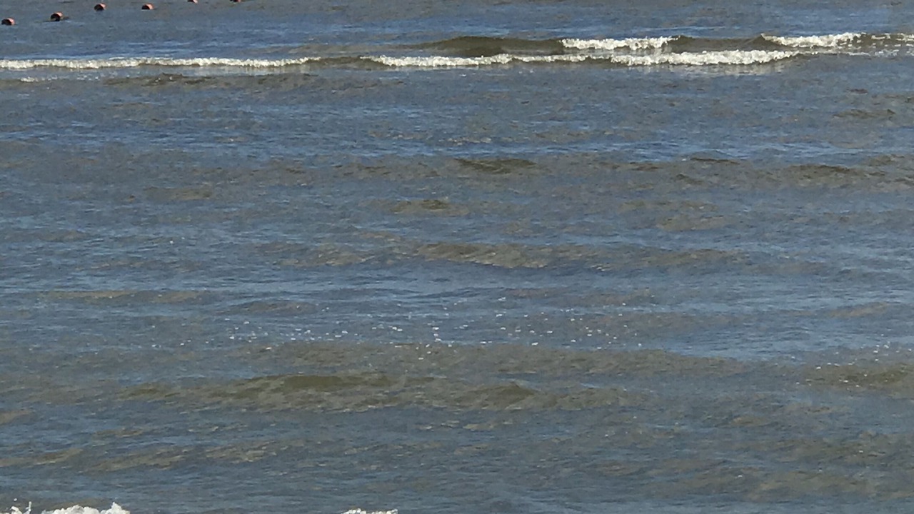 Photo of Others in Niantic