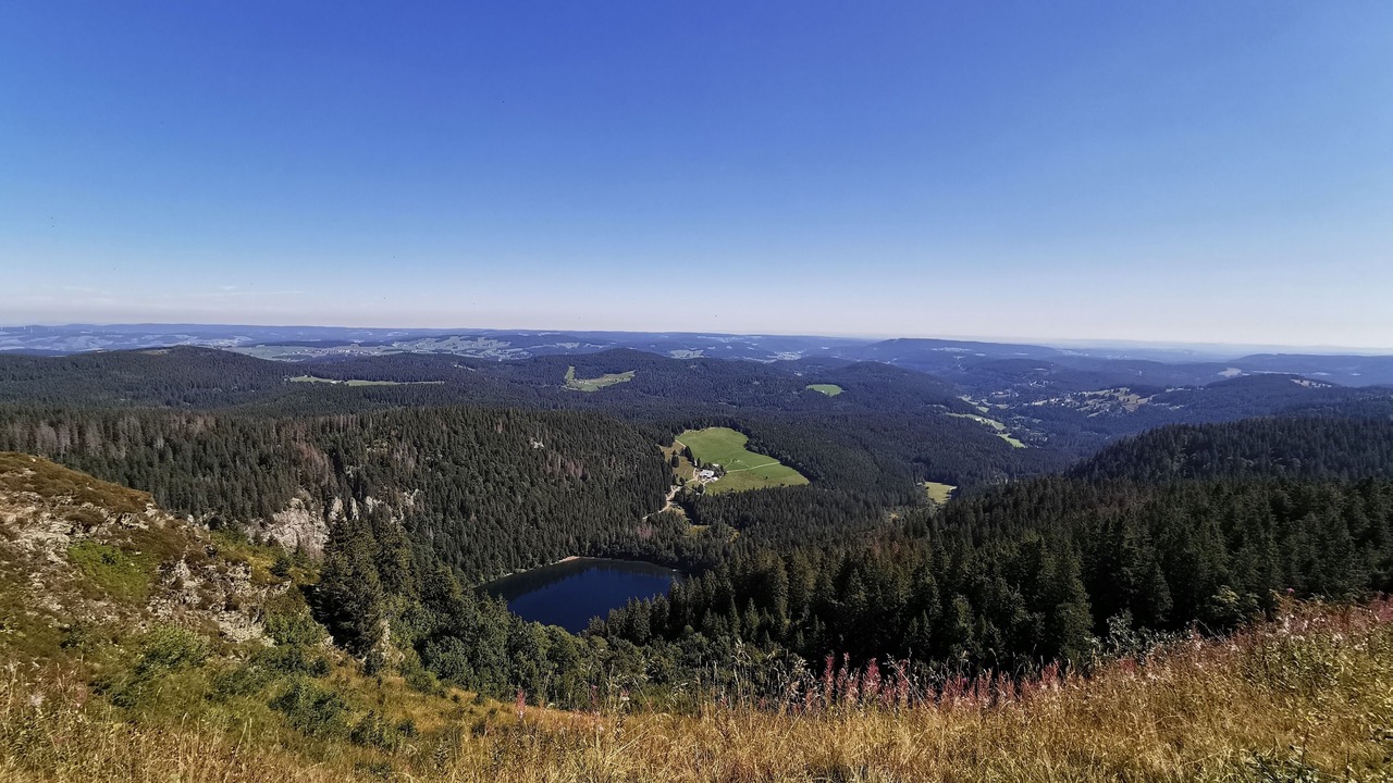Photo of Others in Todtnauberg
