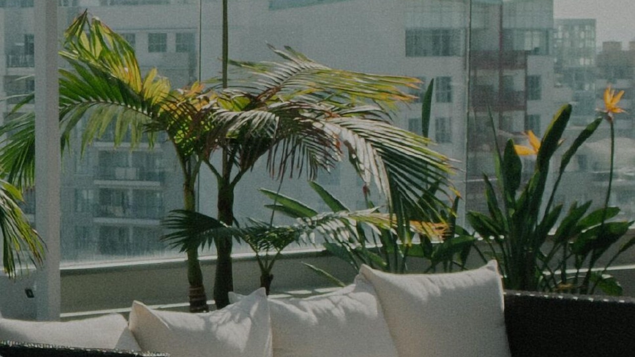 Photo of Outdoor in Santa Clara