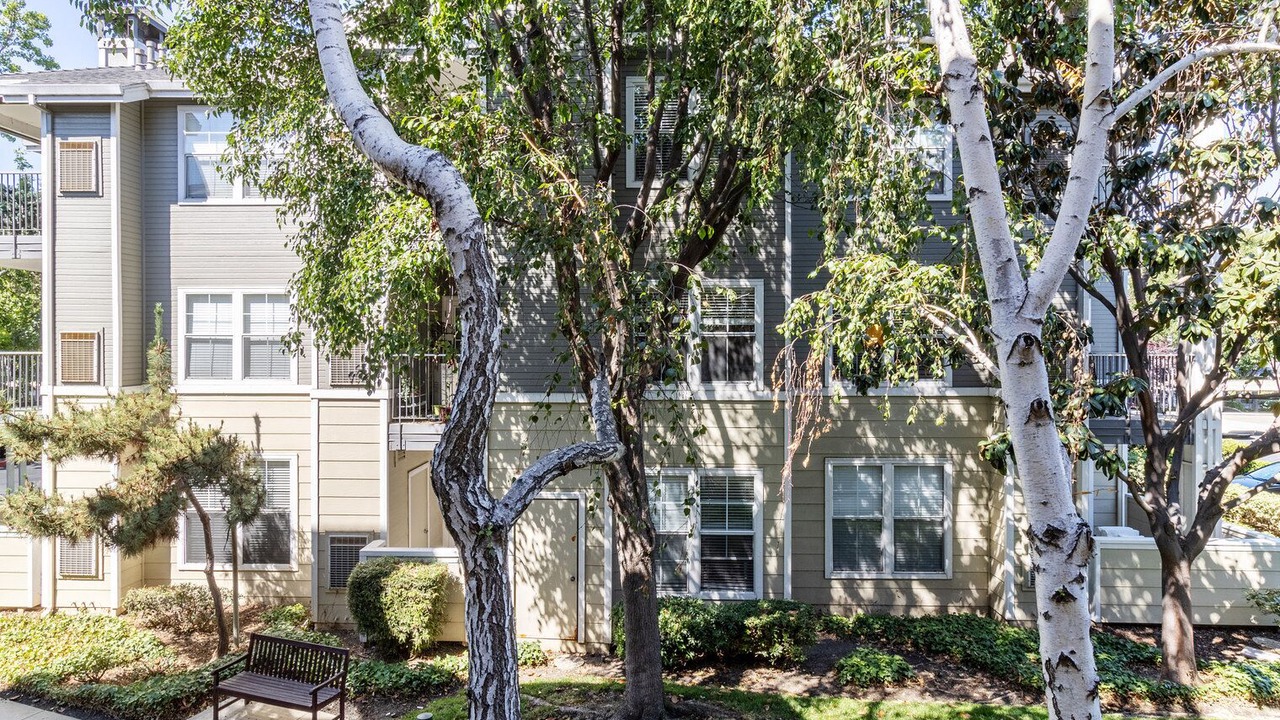 Photo of Outdoor in Santa Clara