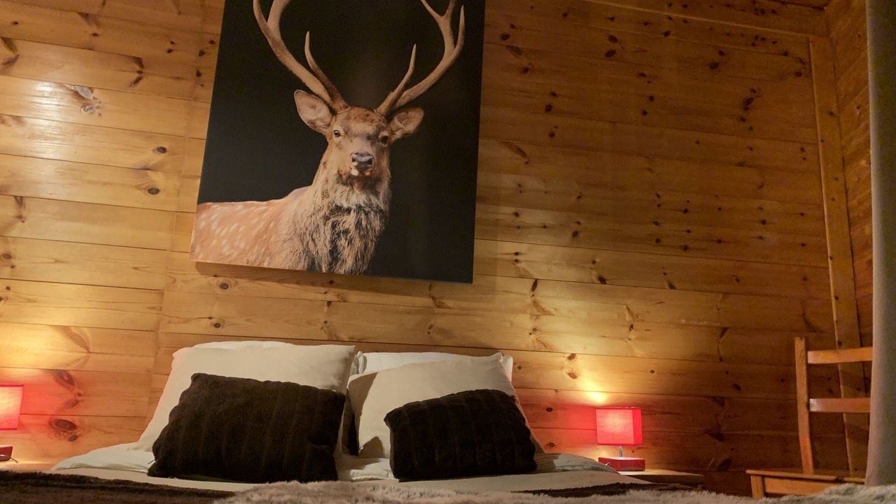 Photo of Bedroom in Huez-en-Oisans