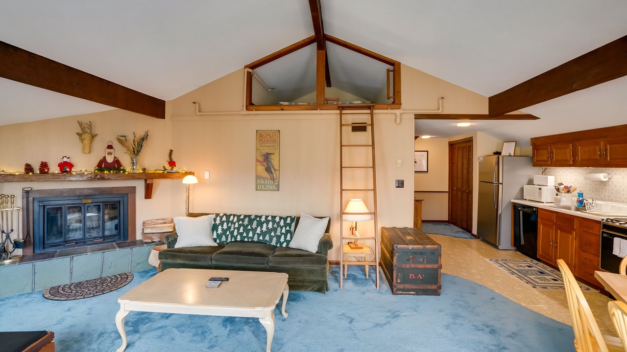 Photo of Livingroom in Bromley Mountain