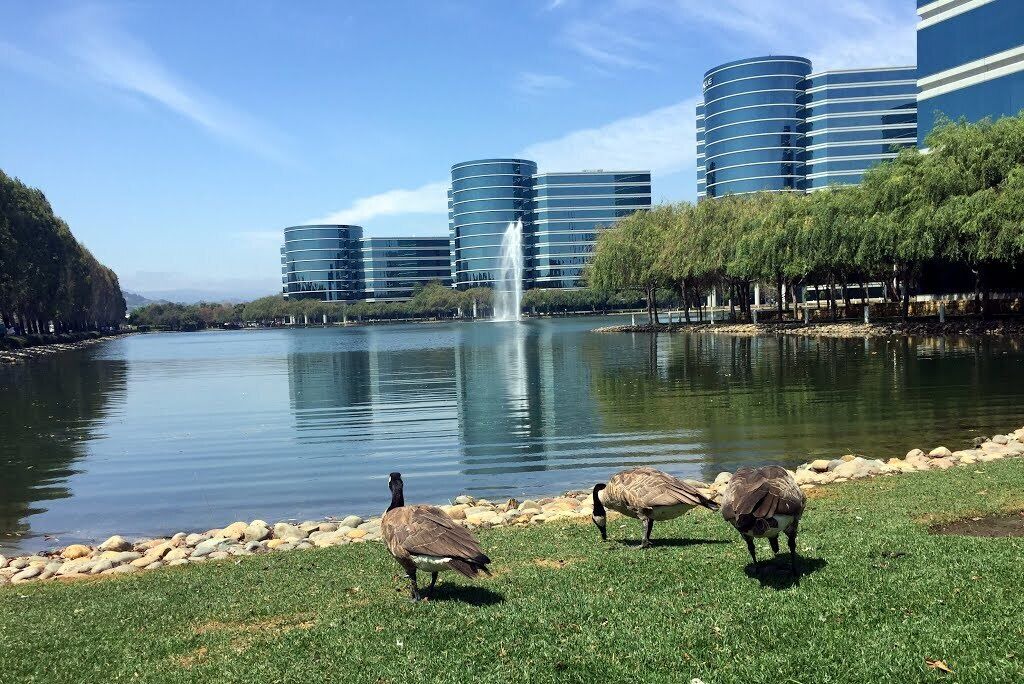 Photo of Others in Redwood City
