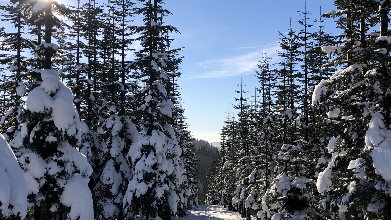 Photo of Outdoor in Boedefeld