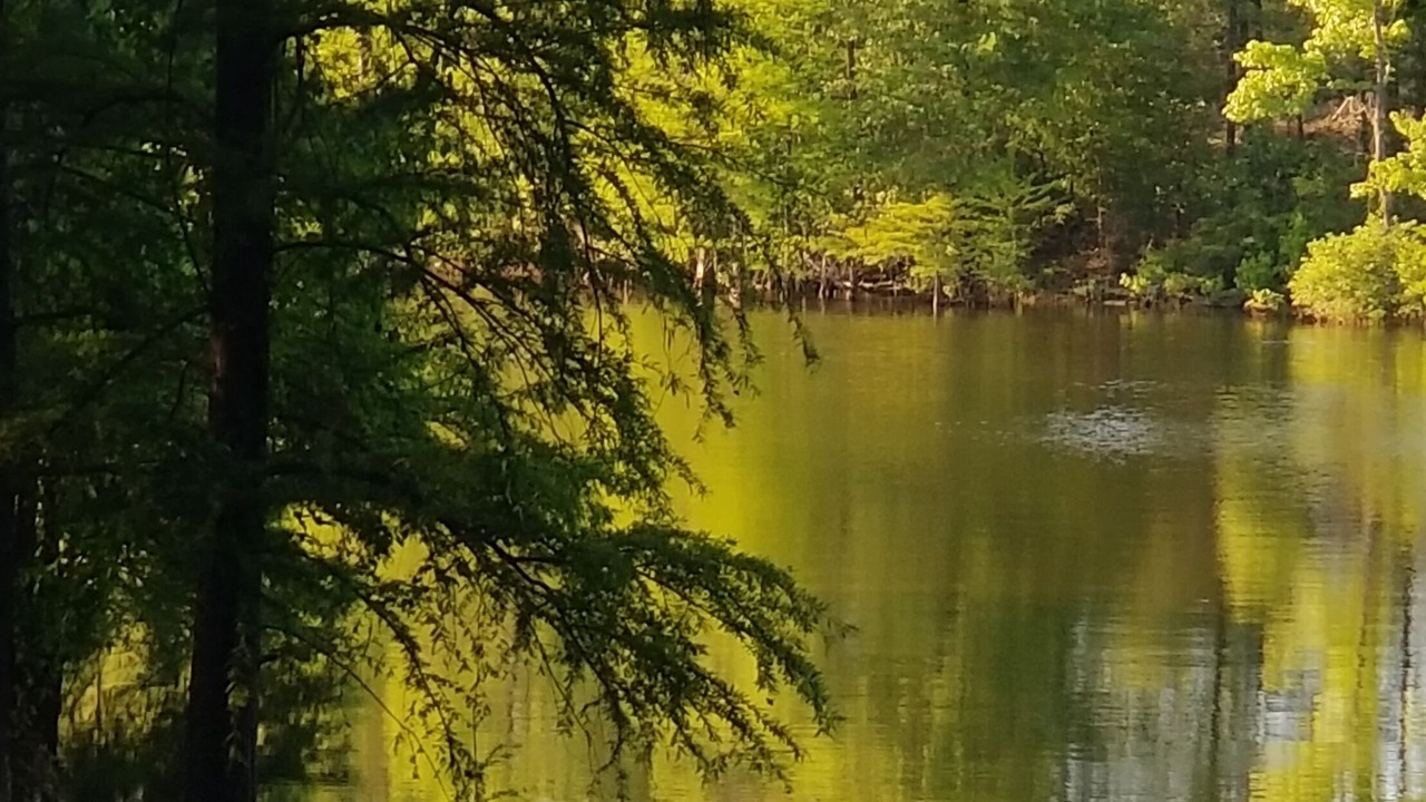 Photo of Others in Negreet