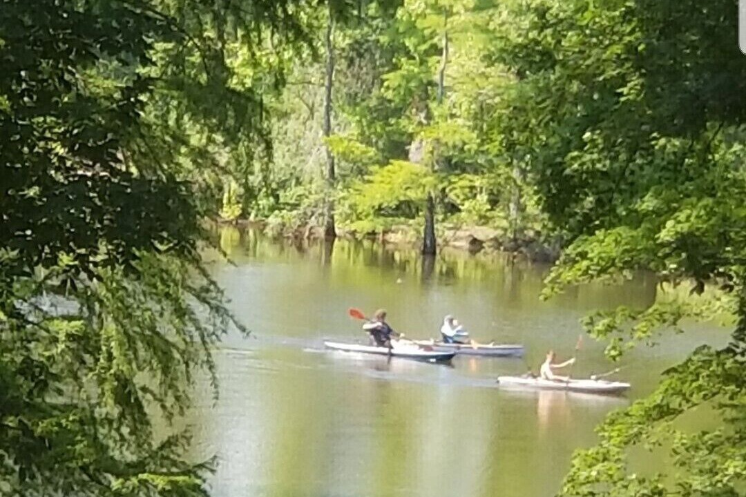 Photo of Others in Negreet